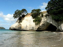 coromandel