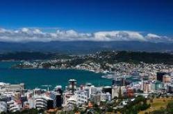 wellington