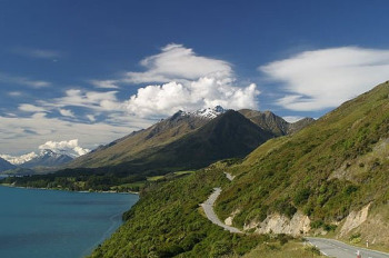 nz